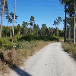 Morskie Opowiesci Mikoszewo