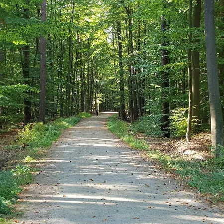 Morskie Opowiesci 山林小屋 *