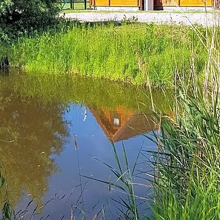 Domek letniskowy Morskie Opowieści *