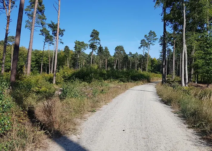 Morskie Opowiesci Mikoszewo