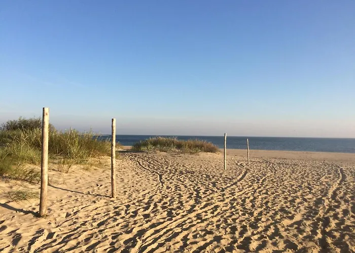 Morskie Opowiesci Mikoszewo